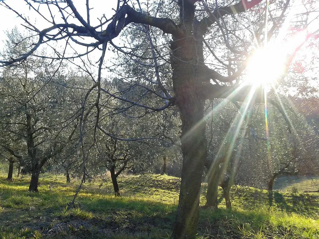Bed & Breakfast B&B Miravalle Scanzorosciate Italy